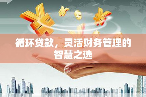贵溪循环贷款，灵活财务管理的智慧之选