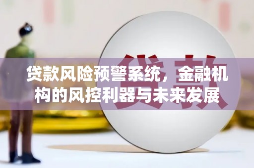 贵溪贷款风险预警系统，金融机构的风控利器与未来发展