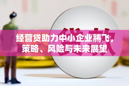 贵溪经营贷助力中小企业腾飞，策略、风险与未来展望