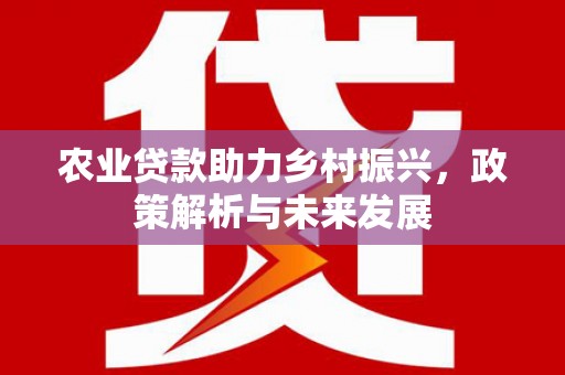 贵溪农业贷款助力乡村振兴，政策解析与未来发展