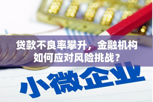 贵溪贷款不良率攀升，金融机构如何应对风险挑战？