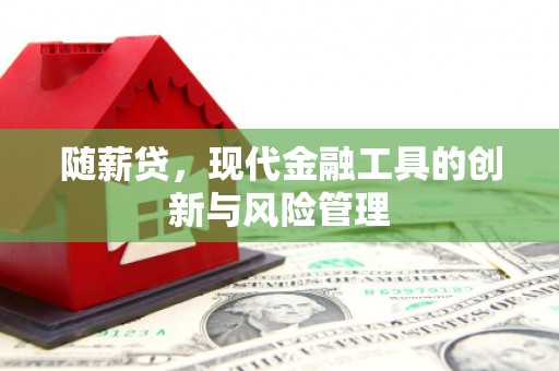 贵溪随薪贷，现代金融工具的创新与风险管理