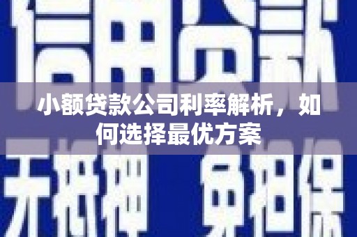 贵溪小额贷款公司利率解析，如何选择最优方案