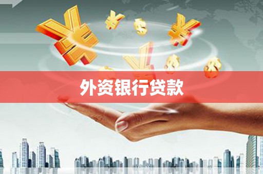 贵溪外资银行贷款