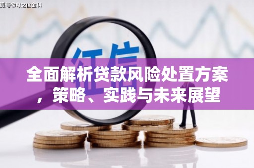 贵溪全面解析贷款风险处置方案，策略、实践与未来展望