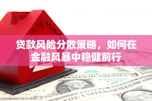 贵溪贷款风险分散策略，如何在金融风暴中稳健前行