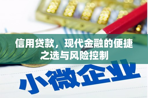 贵溪信用贷款，现代金融的便捷之选与风险控制