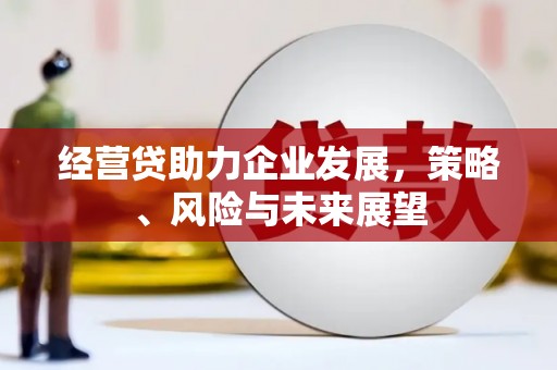 贵溪经营贷助力企业发展，策略、风险与未来展望