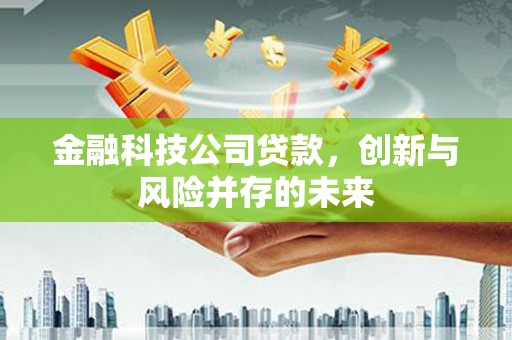 贵溪金融科技公司贷款，创新与风险并存的未来