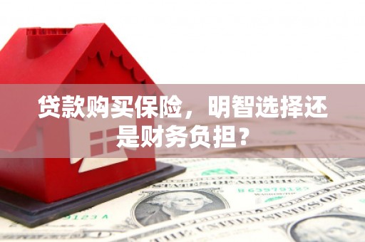 贵溪贷款购买保险，明智选择还是财务负担？