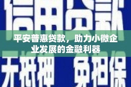 贵溪平安普惠贷款，助力小微企业发展的金融利器