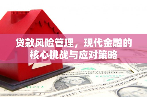 贵溪贷款风险管理，现代金融的核心挑战与应对策略