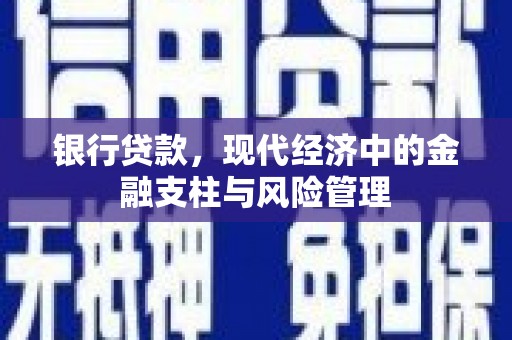 贵溪银行贷款，现代经济中的金融支柱与风险管理