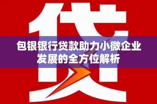 贵溪包银银行贷款助力小微企业发展的全方位解析