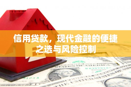 贵溪信用贷款，现代金融的便捷之选与风险控制