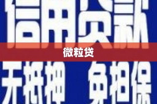 贵溪微粒贷