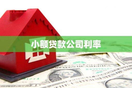 贵溪小额贷款公司利率