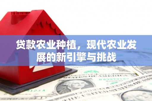 贵溪贷款农业种植，现代农业发展的新引擎与挑战