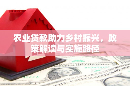 贵溪农业贷款助力乡村振兴，政策解读与实施路径