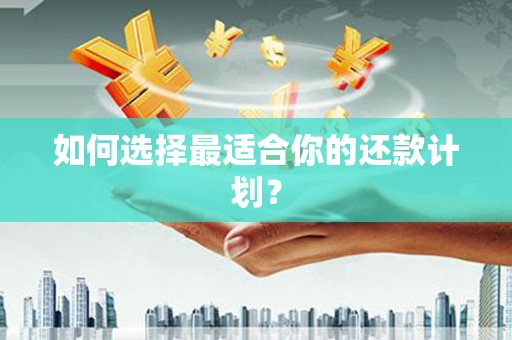 贵溪如何选择最适合你的还款计划？
