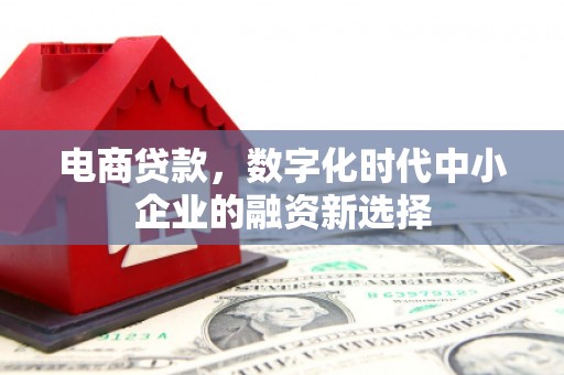 贵溪电商贷款，数字化时代中小企业的融资新选择