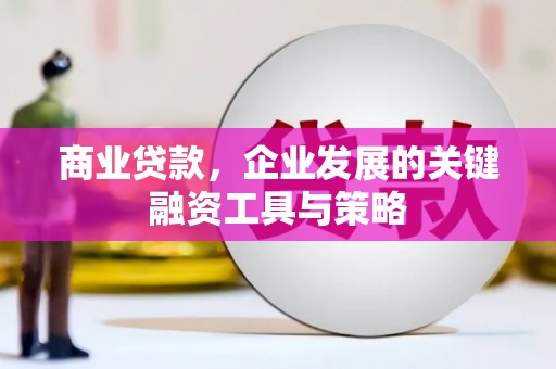 贵溪商业贷款，企业发展的关键融资工具与策略