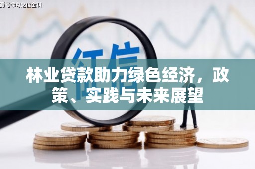 贵溪林业贷款助力绿色经济，政策、实践与未来展望