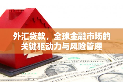 贵溪外汇贷款，全球金融市场的关键驱动力与风险管理