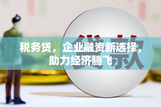 贵溪税务贷，企业融资新选择，助力经济腾飞