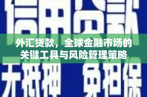 贵溪外汇贷款，全球金融市场的关键工具与风险管理策略