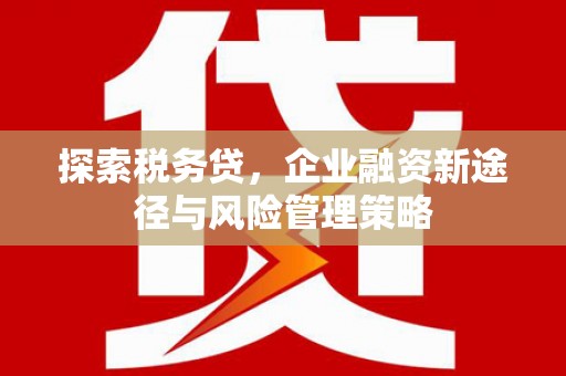 贵溪探索税务贷，企业融资新途径与风险管理策略