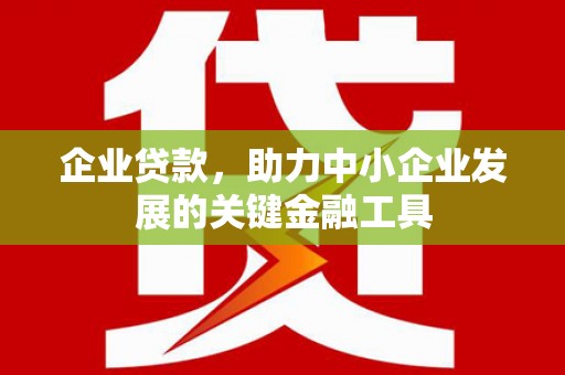 贵溪企业贷款，助力中小企业发展的关键金融工具