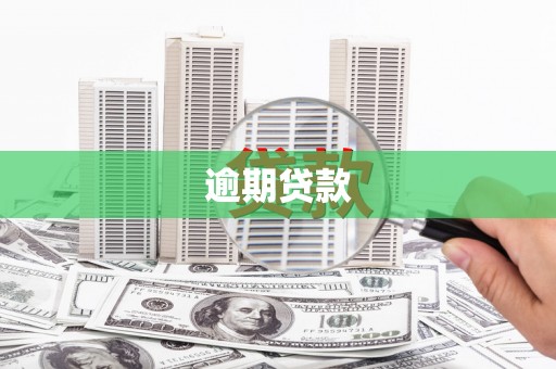 贵溪逾期贷款