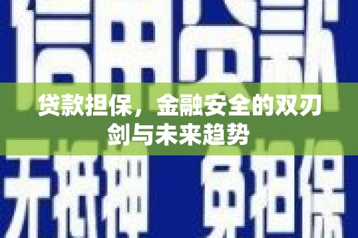 贵溪贷款担保，金融安全的双刃剑与未来趋势