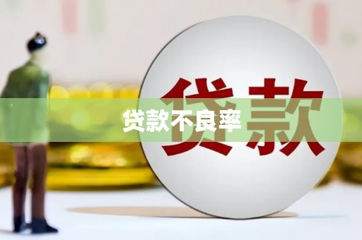 贵溪贷款不良率