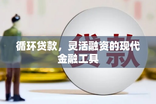 贵溪循环贷款，灵活融资的现代金融工具