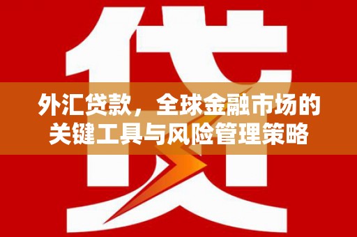 贵溪外汇贷款，全球金融市场的关键工具与风险管理策略