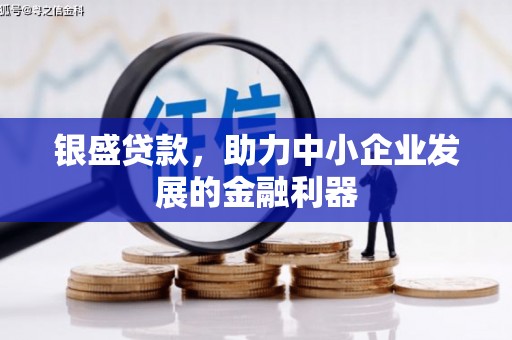 贵溪银盛贷款，助力中小企业发展的金融利器