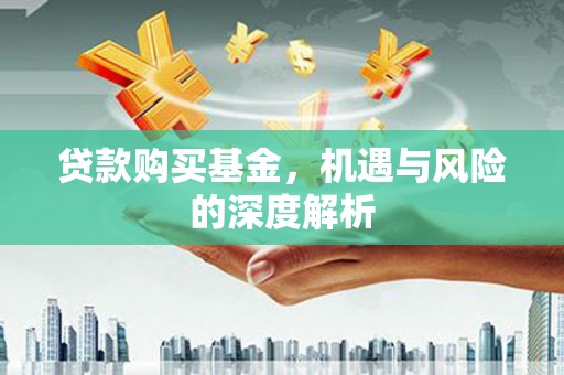 贵溪贷款购买基金，机遇与风险的深度解析