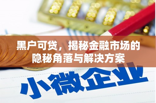 贵溪黑户可贷，揭秘金融市场的隐秘角落与解决方案