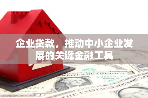 贵溪企业贷款，推动中小企业发展的关键金融工具
