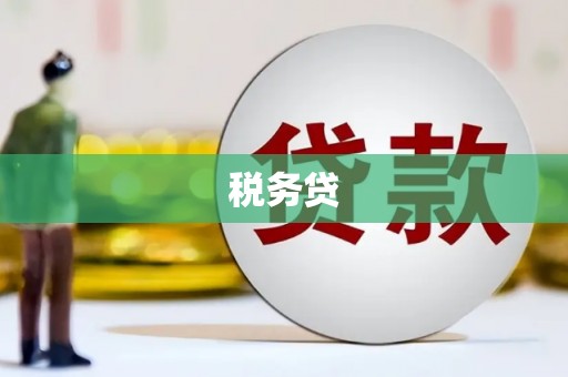 贵溪税务贷