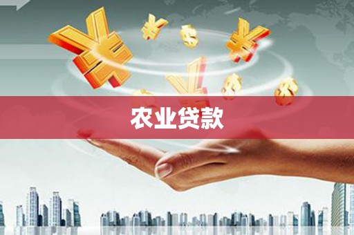 贵溪农业贷款