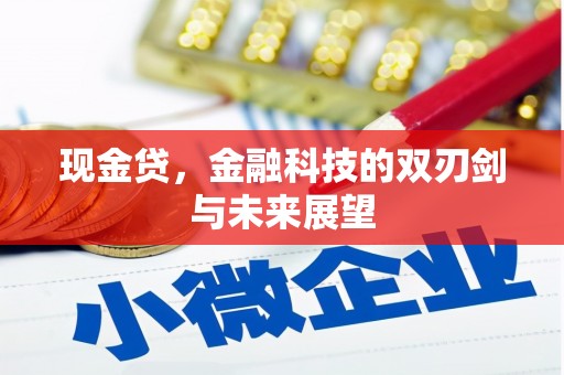 贵溪现金贷，金融科技的双刃剑与未来展望