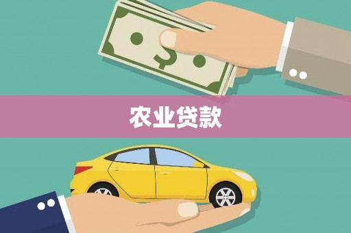 贵溪农业贷款