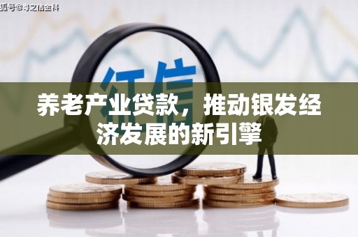 贵溪养老产业贷款，推动银发经济发展的新引擎