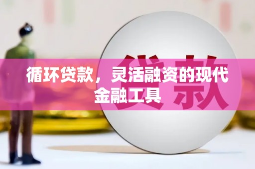 贵溪循环贷款，灵活融资的现代金融工具
