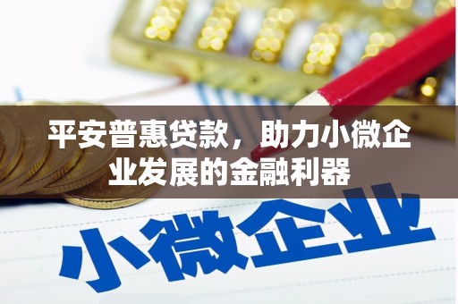 贵溪平安普惠贷款，助力小微企业发展的金融利器