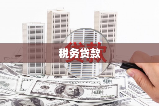 贵溪税务贷款
