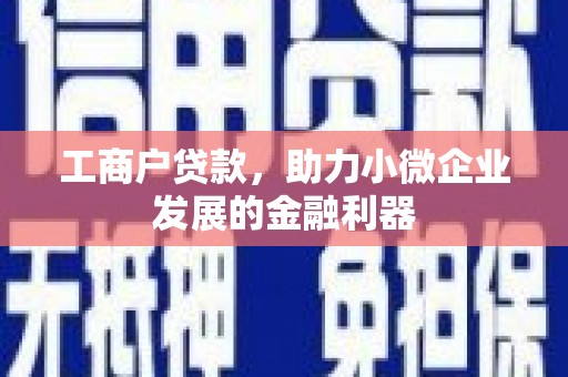 贵溪工商户贷款，助力小微企业发展的金融利器